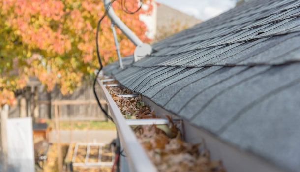 Gutter Cleaning Services